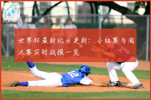 世界杯最新比分更新：小组赛与淘汰赛实时战报一览