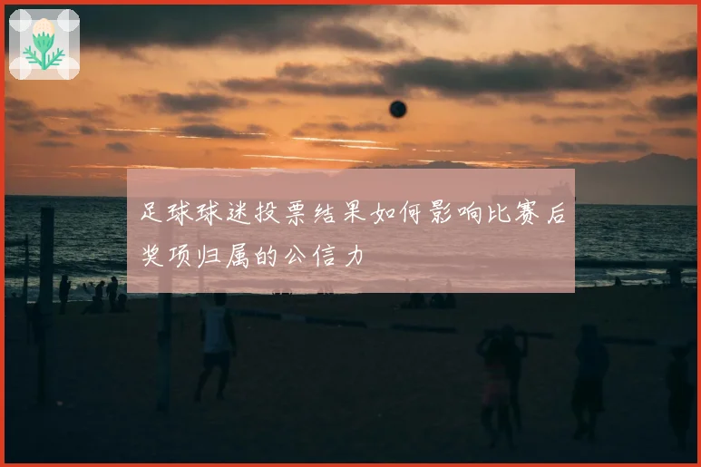 足球球迷投票结果如何影响比赛后奖项归属的公信力